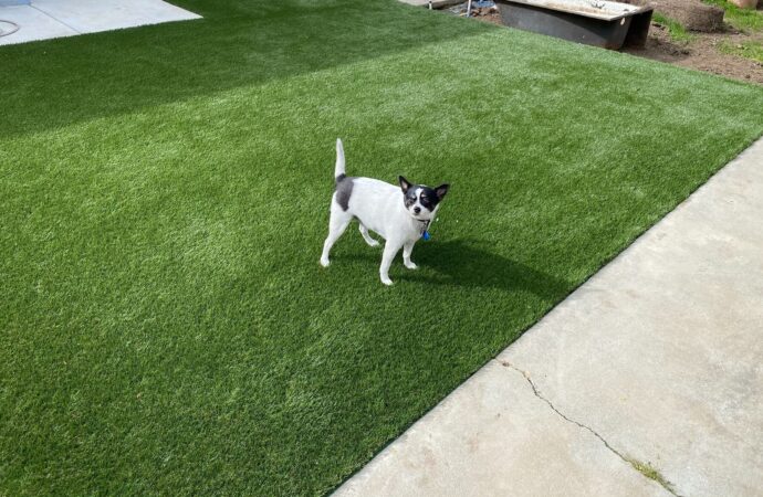 Pet Turf Installation-Synthetic Turf Team of Palm Beach