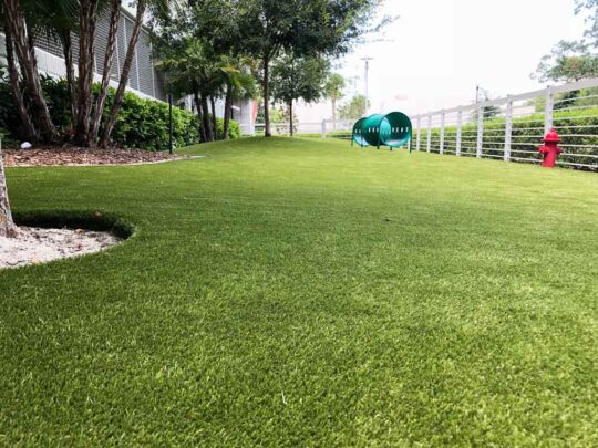Schools Synthetic Turf Installation-Synthetic Turf Team of Palm Beach