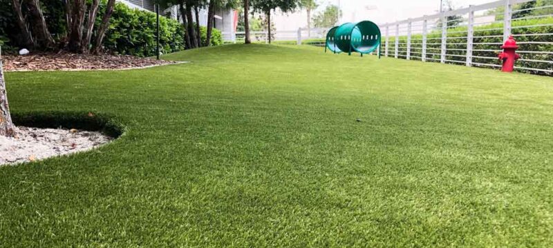 Schools Synthetic Turf Installation-Synthetic Turf Team of Palm Beach